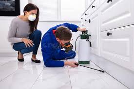 Best Real Estate Pest Inspections  in Sparks, TX